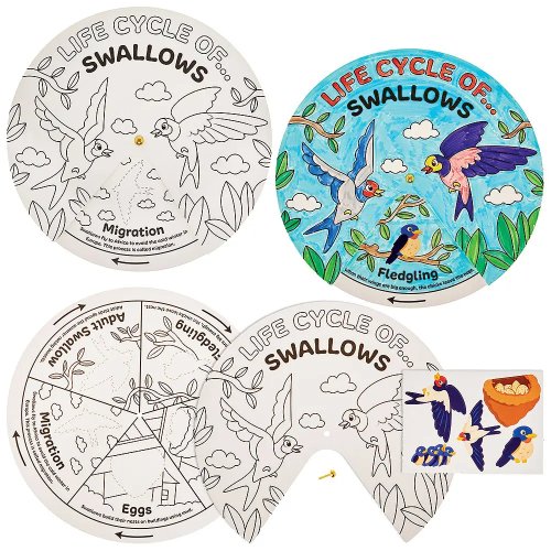 Swallow Bird Life Cycle Colour-In Sticker Wheels (Pack of 5)