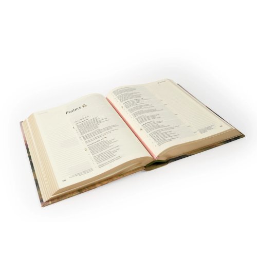 CSB Notetaking Bible: Faroe Theme