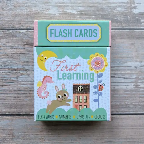 First Learning Flash Cards - First Words, Numbers, Opposities & Colours