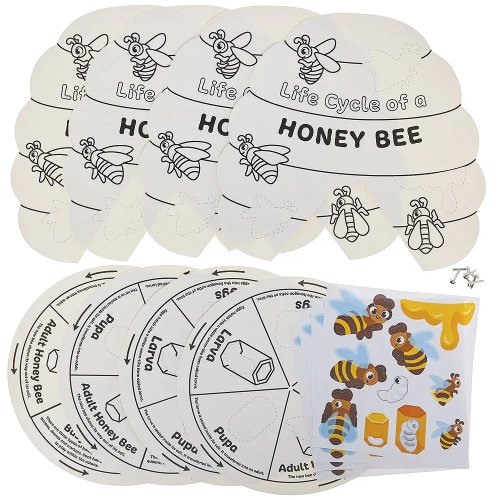 Honey Bee Life Cycle Colour-In Sticker Wheels (Pack of 4)