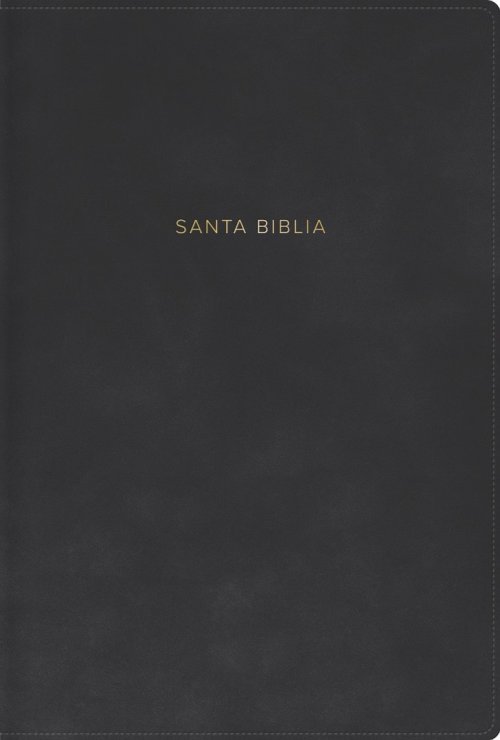 RVR 1960 Biblia Letra Grande, Tamaño Manual, Gris