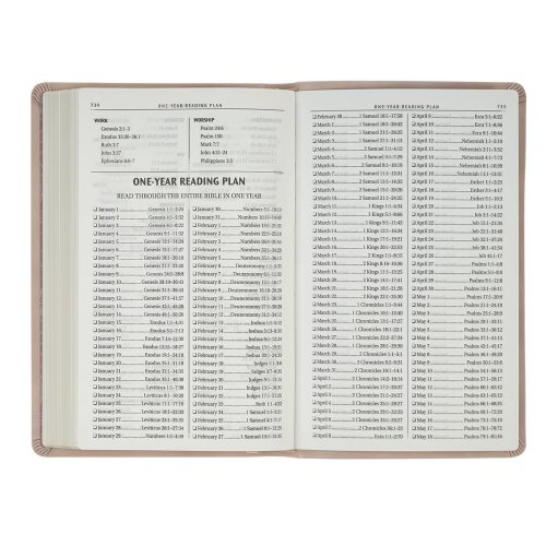 KJV Bible Gift Edition Faux Leather Blush Pink