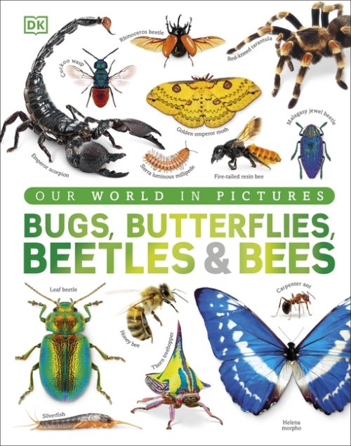 Our World In Pictures Bugs, Butterflies, Beetles And Bees