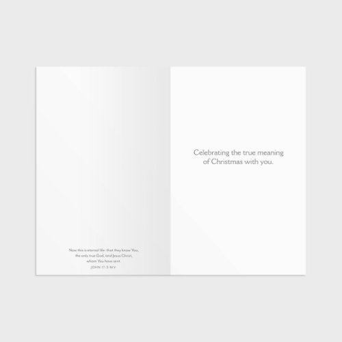 The Only Thing That Matters is Jesus - 50 Christmas Boxed Cards and Envelopes