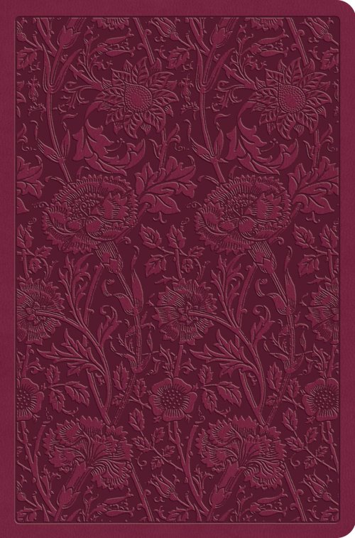 ESV Value Compact Bible (TruTone, Raspberry, Floral Design)