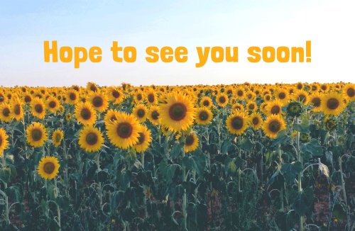 Visitor Postcard: Hope to See You (Package of 25)