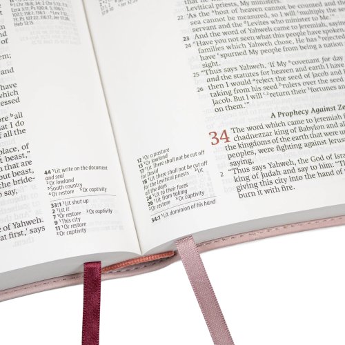 Lsb, Handy Size, Inside Column Reference, Paste-Down Pink Faux Leather Hope Blooms, Red Letter