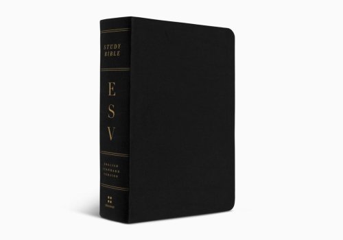 ESV Study Bible, Personal Size Genuine Leather, Black