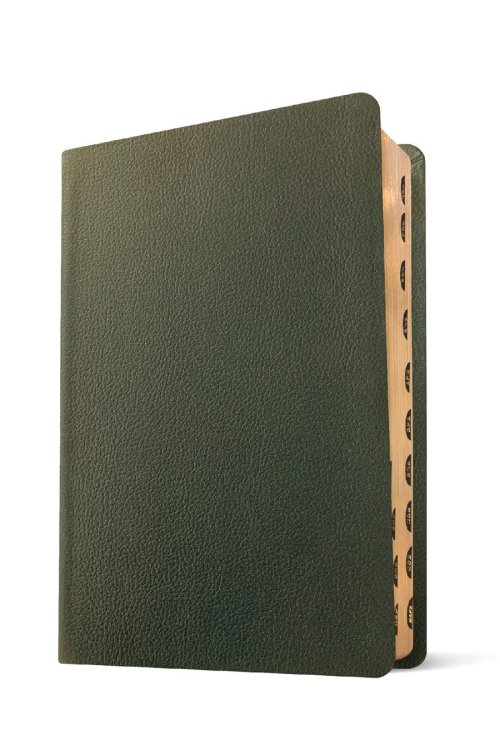 NLT Personal Size Giant Print Bible, Filament Enabled (Genuine Leather, Olive Green, Indexed, Red Letter)