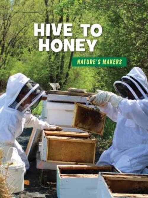 Hive To Honey