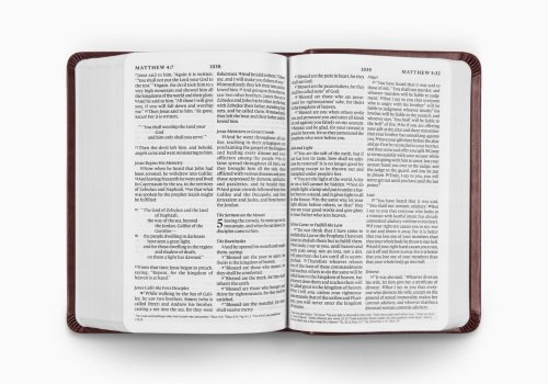 ESV Large Print Value Compact Bible (TruTone, Mahogany, Border Design)