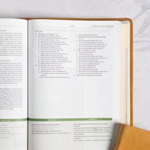 NASB Study Bible, Camel Suedesoft Leathertouch