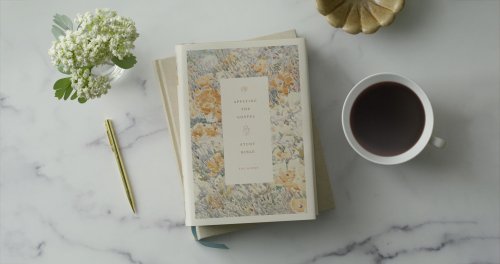 ESV Applying the Gospel Study Bible for Women (Hardcover)