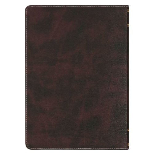 NLT, The Spiritual Growth Bible Faux Leather, Two-tone Pink and Brown