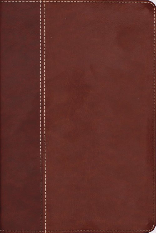 NIV, Cultural Backgrounds Study Bible (Context Changes Everything), Leathersoft, Brown, Red Letter, Thumb Indexed