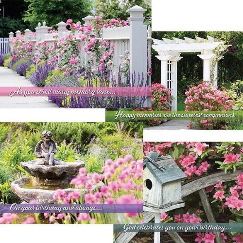 Boxed Card-Garden Spendor Assorted Birthday (KJV) (Box Of 12)