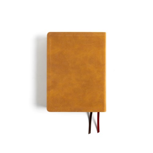 NASB Study Bible, Camel Suedesoft Leathertouch