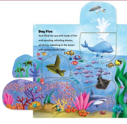 See What God Made! A Creation Story Lift-The-Flap Book