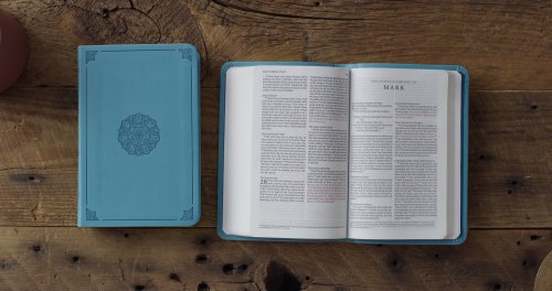 ESV Value Compact Bible, Red Letter (TruTone, Turquoise, Emblem Design)