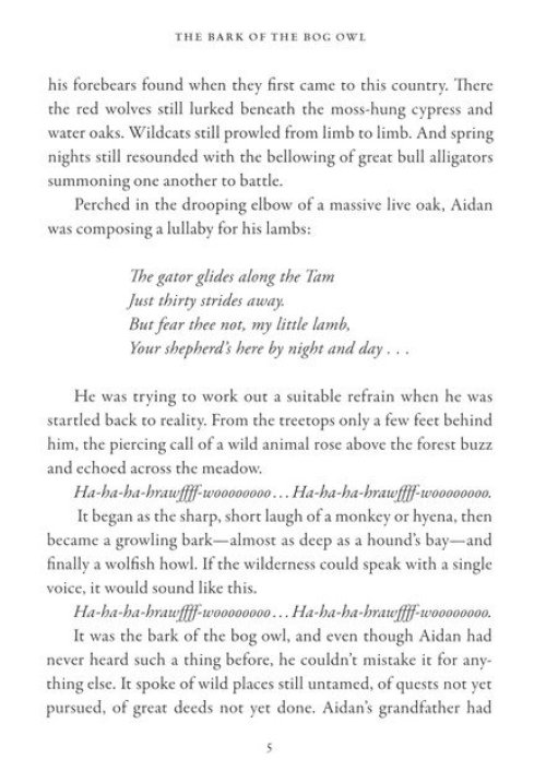 The Bark of the Bog Owl (The Wilderking Trilogy Book 1)