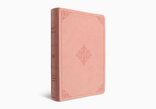 ESV Holy Bible, Dyslexia-Friendly Edition