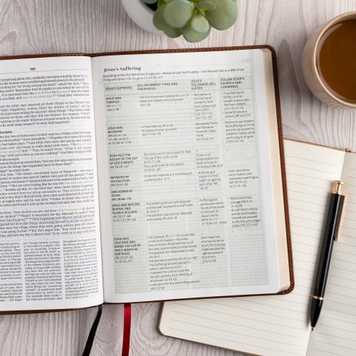 CSB Connecting Scripture New Testament, Brown LeatherTouch