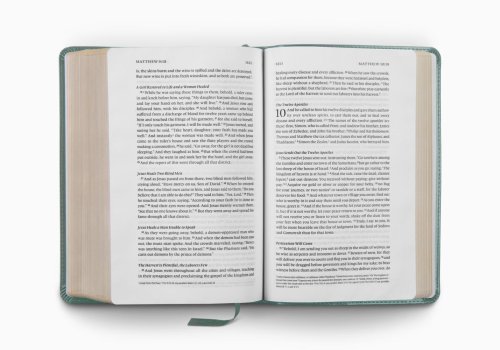 ESV Single Column Heritage Bible (TruTone, Paris Sky, Fleur-de-lis Design)