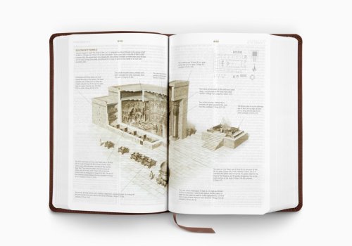 Esv Student Study Bible (Trutone, Chestnut)