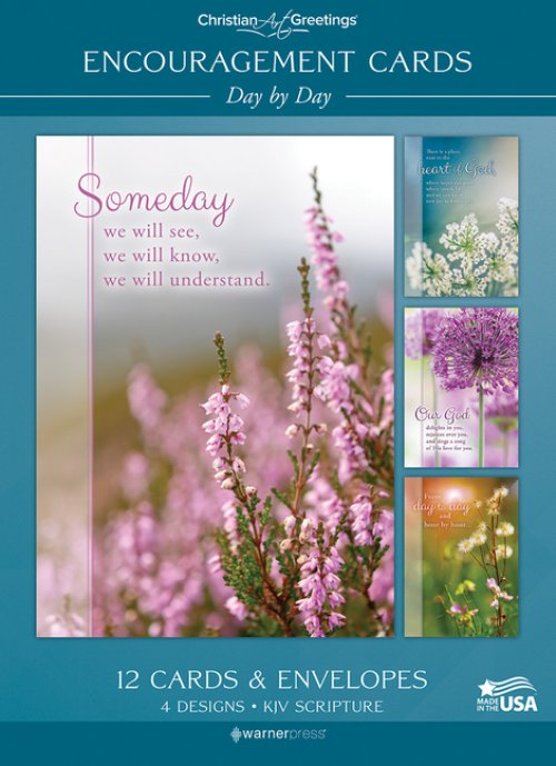 Day by Day Boxed Cards (Pack of 12)