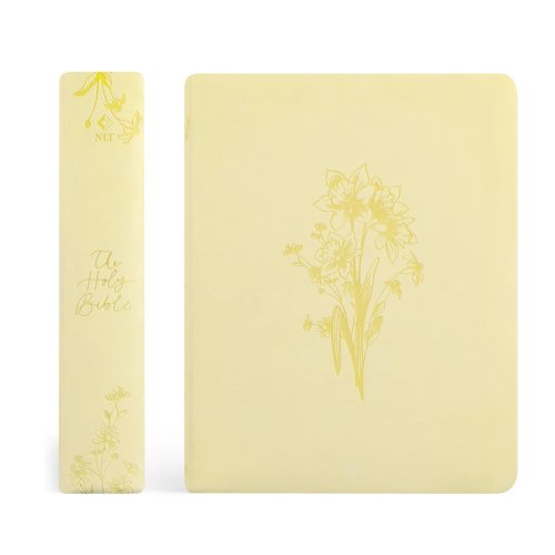 NLT Notetaking Bible: Belfast Theme