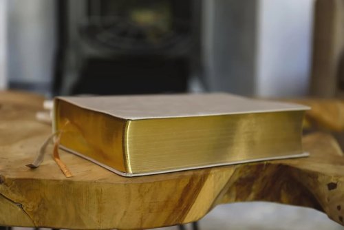 The Jesus Bible, ESV Edition, Leathersoft, Stone