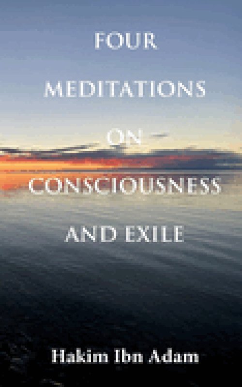 Four Meditations on Consciousness and Exile