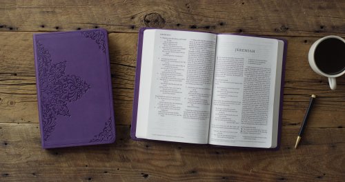 ESV Large Print Value Thinline Bible (TruTone, Lavender, Filigree Design)
