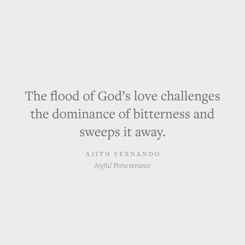 Joyful Perseverance