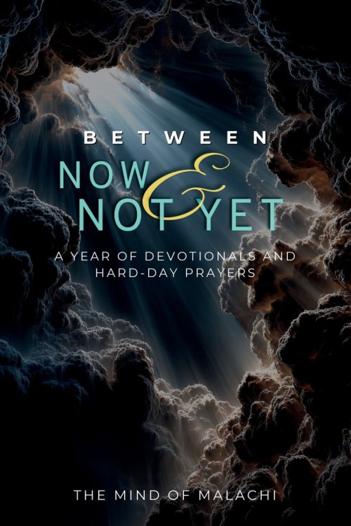 Between Now and Not Yet: A Year of Devotionals and Hard-Day Prayers