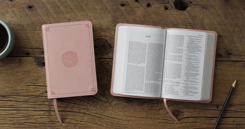 ESV Compact Bible, Red Letter (TruTone, Blush Rose, Emblem Design)