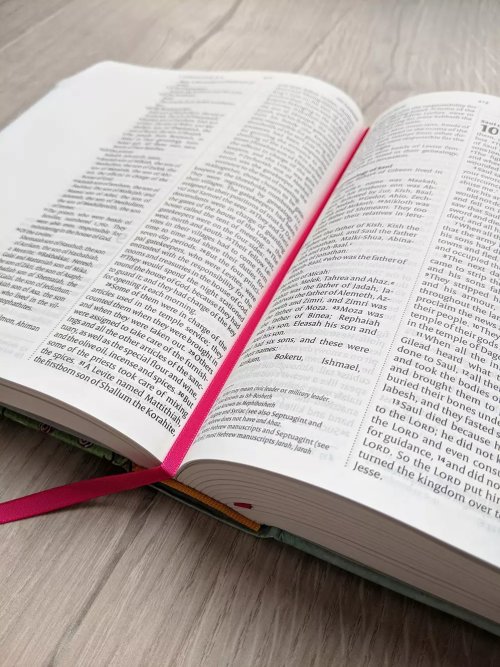 NIV Journalling Bible Illustrated by Hannah Dunnett and MAF Bible Donation