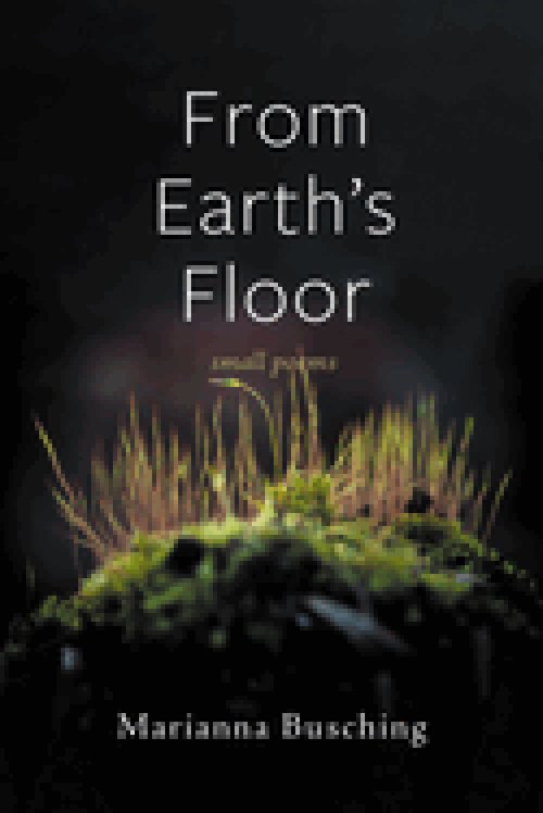 From Earth's Floor