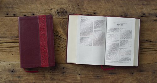 ESV Giant Print Personal Size Bible, Red Letter (TruTone, Mahogany, Trellis Design)