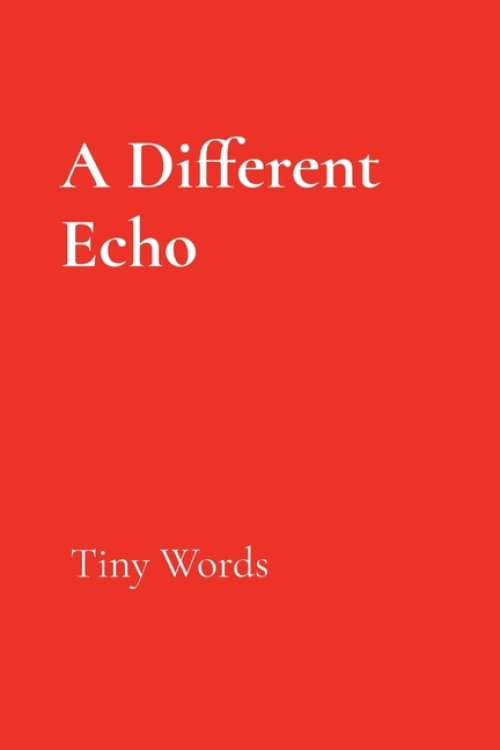A Different Echo: Tiny Words