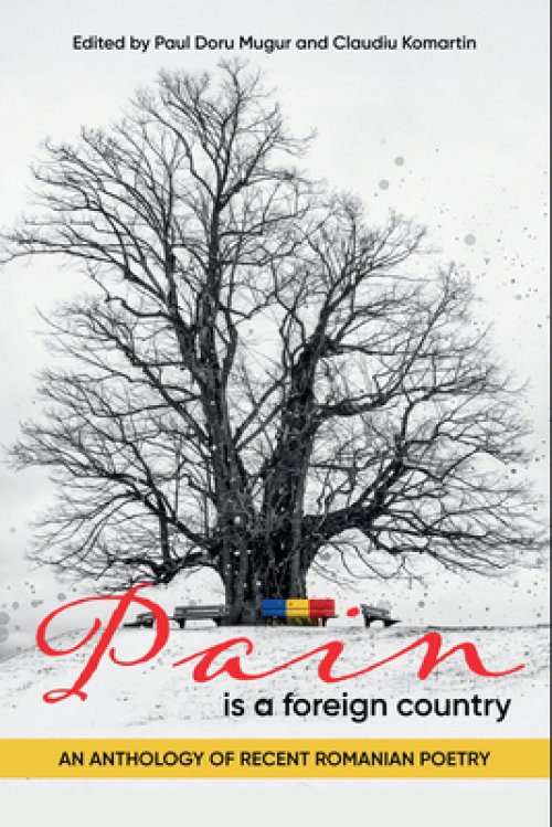 Pain Is a Foreign Country: An Anthology of Recent Romanian Poetry