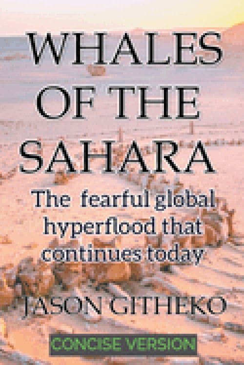 Whales of the Sahara:  The Fearful Global Hyperflood that Continues Today
