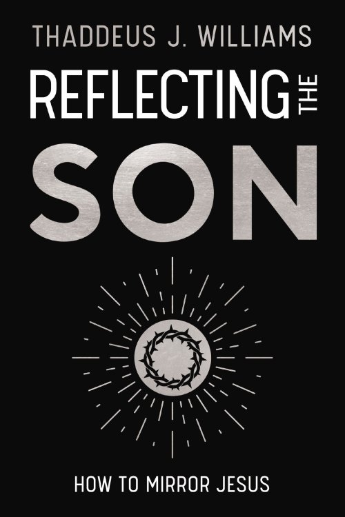 Reflecting the Son