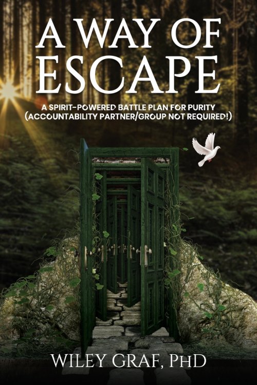 A WAY OF ESCAPE: A Spirit-Powered Battle Plan for Purity (Accountability Partner/Group Not Required!) First Edition