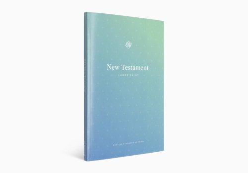 ESV Outreach New Testament, Large Print (Paperback)