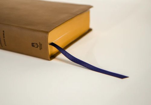 The Bible Recap 365-Day Chronological ESV Study Bible, Brown Imitation Leather