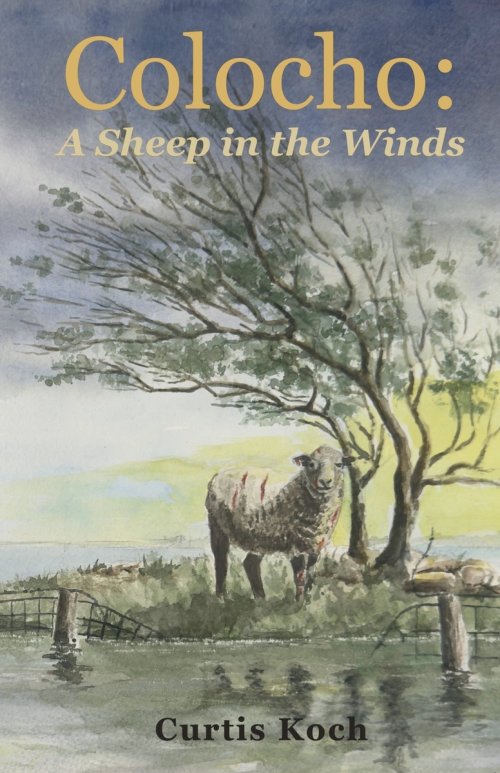 Colocho: A Sheep in the Winds