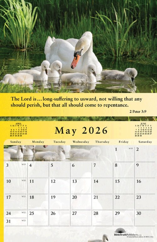 Gospel of Peace 2026 Calendar