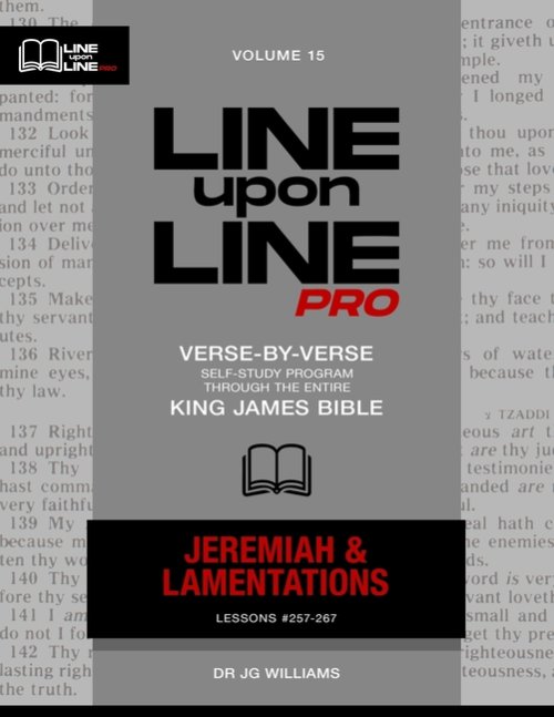 Jeremiah & Lamentations: Vol 15 - Line Upon Line PRO Bible Study Series