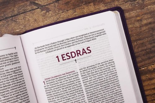 NRSVue, Holy Bible with Apocrypha, Compact, Leathersoft, Purple, Comfort Print